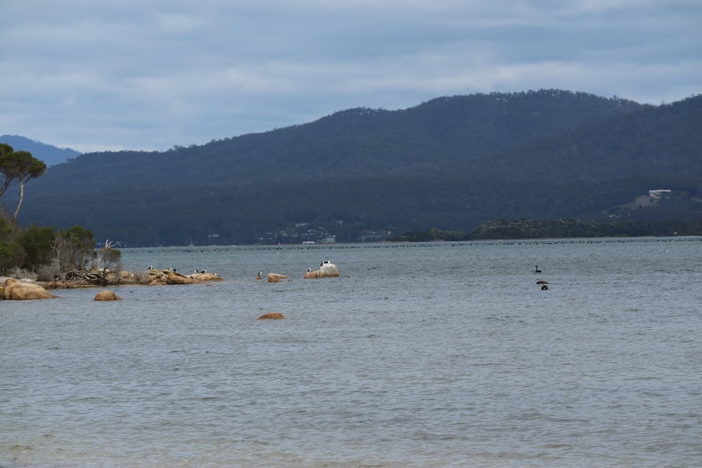 Humbug Point Nature Recreation Area | park | 223 Dora Point Rd, Binalong Bay TAS 7216, Australia