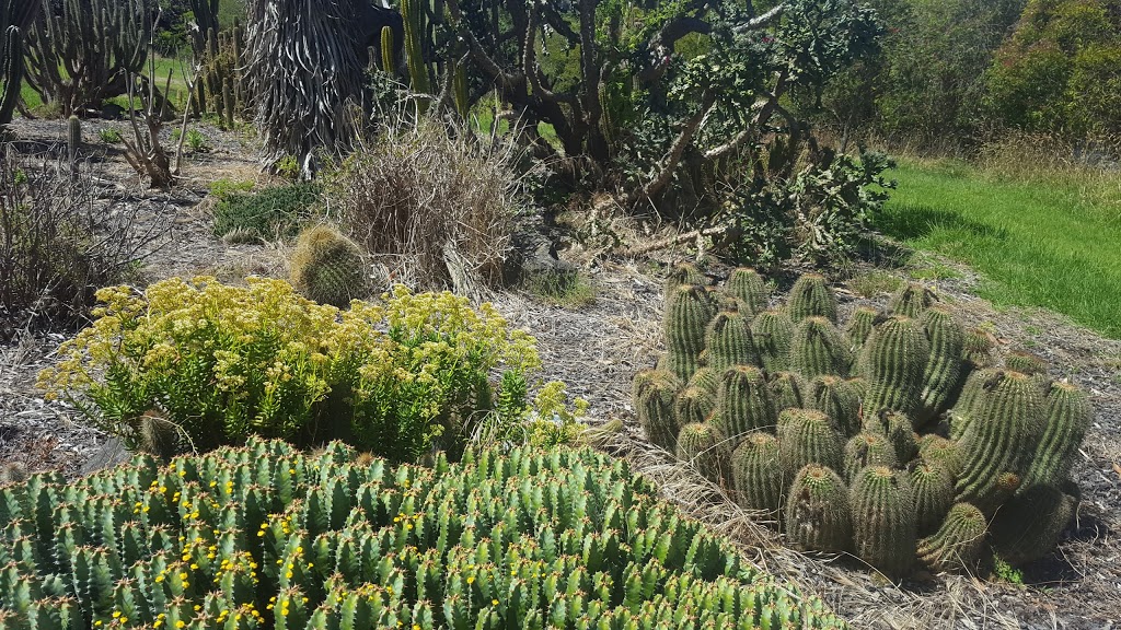 G.A Dodd Memorial Cactus Garden | park | Mount Gambier SA 5290, Australia