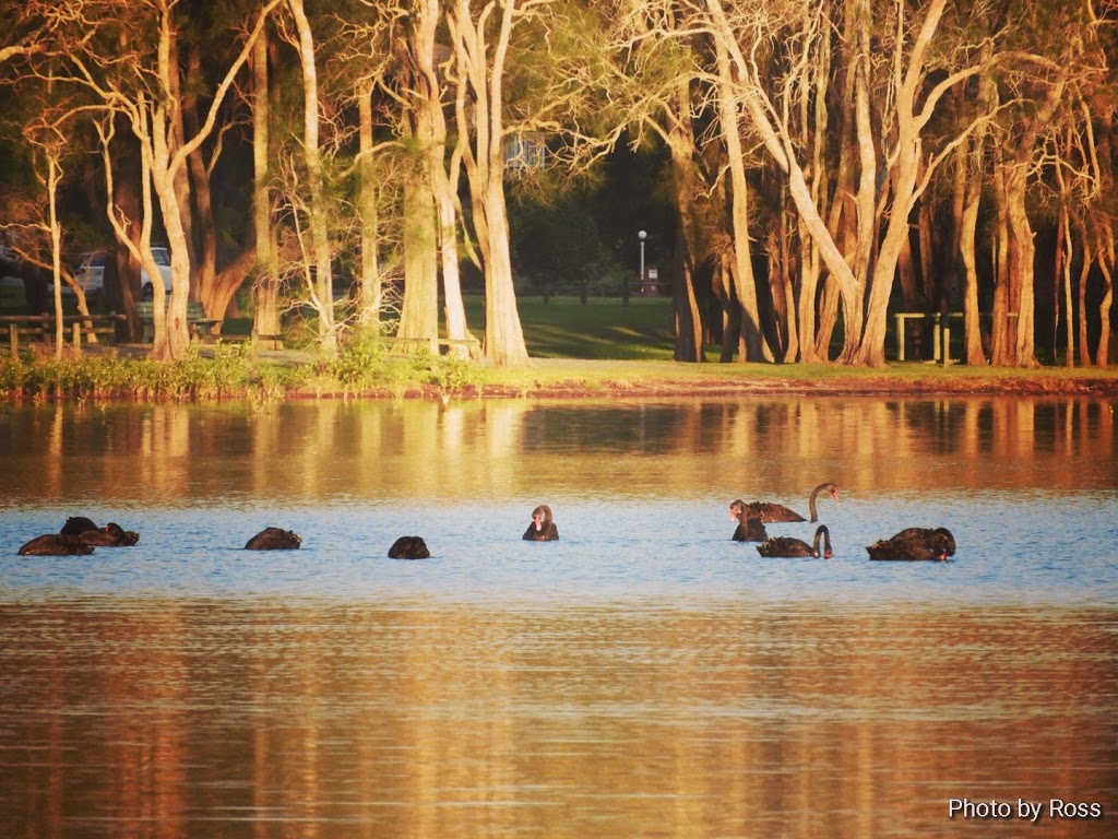 Pipers Bay Foreshore Reserve | Wallis Lake NSW 2428, Australia | Phone: (02) 6591 7222