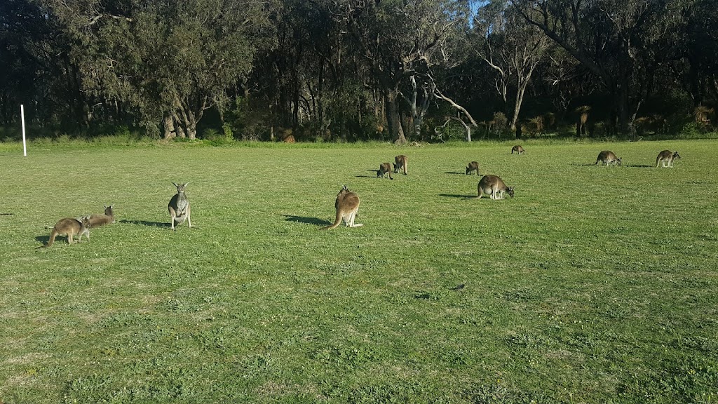 Yanchep National Park Golf Course | Wanneroo Rd & Yanchep Beach Rd, Yanchep WA 6035, Australia | Phone: (08) 9303 7759