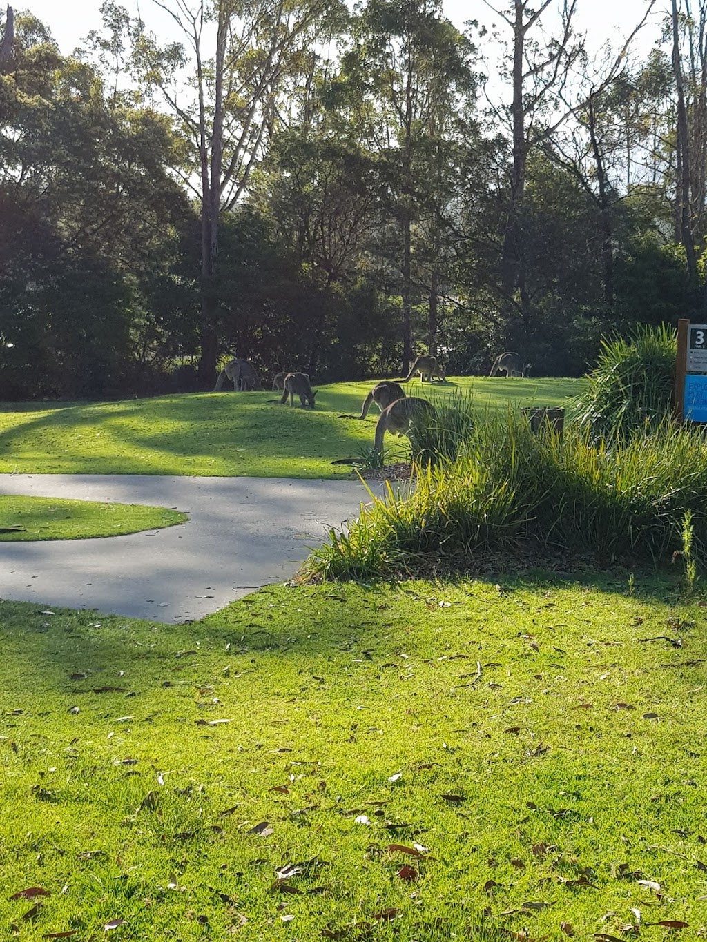 Pambula Merimbula Golf Club | 173 Arthur Kaine Dr, Merimbula NSW 2548, Australia | Phone: (02) 6495 6154