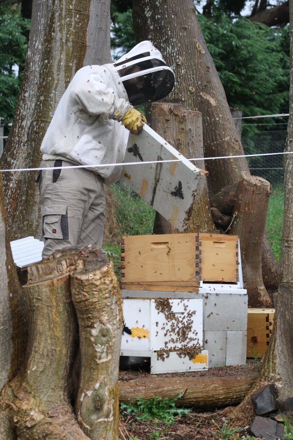 Lakewood Hives |  | 33 Lakewood Blvd, Flinders NSW 2529, Australia | 0448811404 OR +61 448 811 404