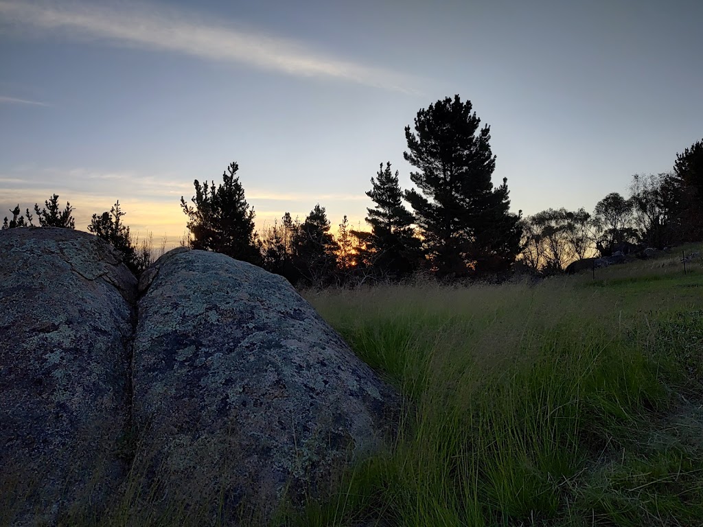 Observatory Hill Farm | 6/5050 The Snowy River Way, Dalgety NSW 2628, Australia | Phone: 0404 852 676
