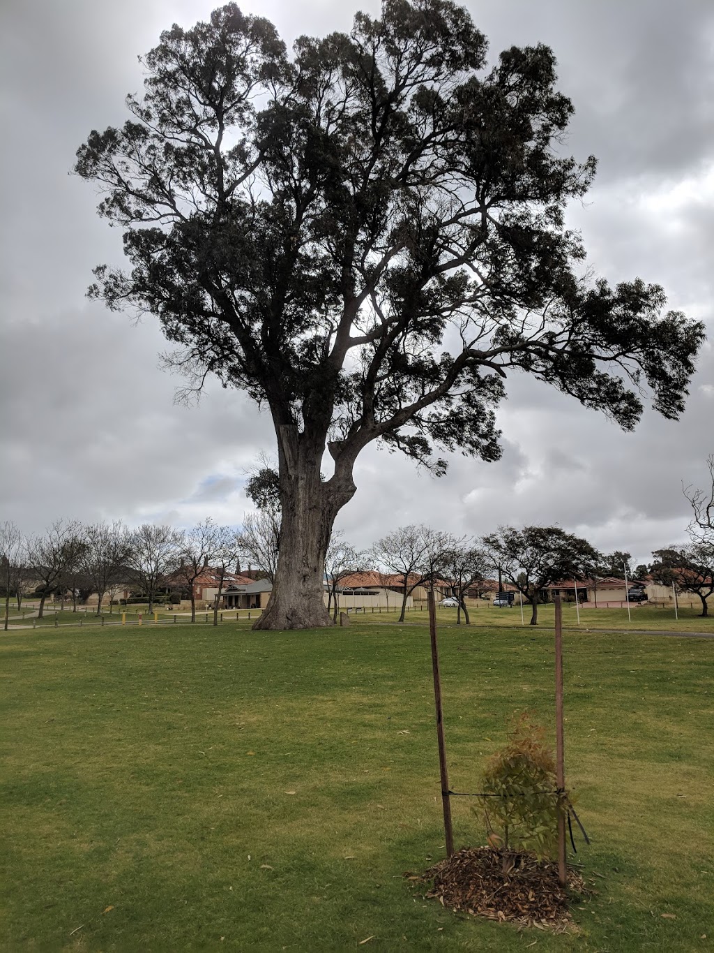 Len Pike Park | park | Coldicott Terrace, Baldivis WA 6171, Australia