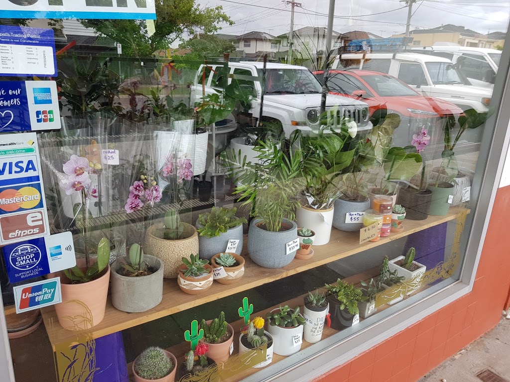 PLANTS R GO | 32 B Devon Rd, Pascoe Vale VIC 3044, Australia | Phone: 0413 997 593