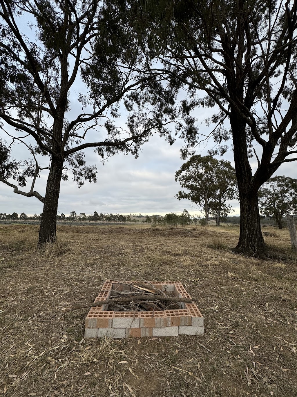 Back Paddock Botanical - Lavender and Herb Farm | 274 Goombungee Meringandan Rd, Goombungee QLD 4354, Australia | Phone: 0400 684 643