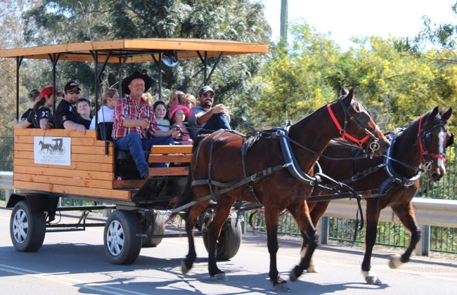 Hunter Valley Country Carriages | 298 McDonalds Rd, Pokolbin NSW 2320, Australia | Phone: 0467 421 398