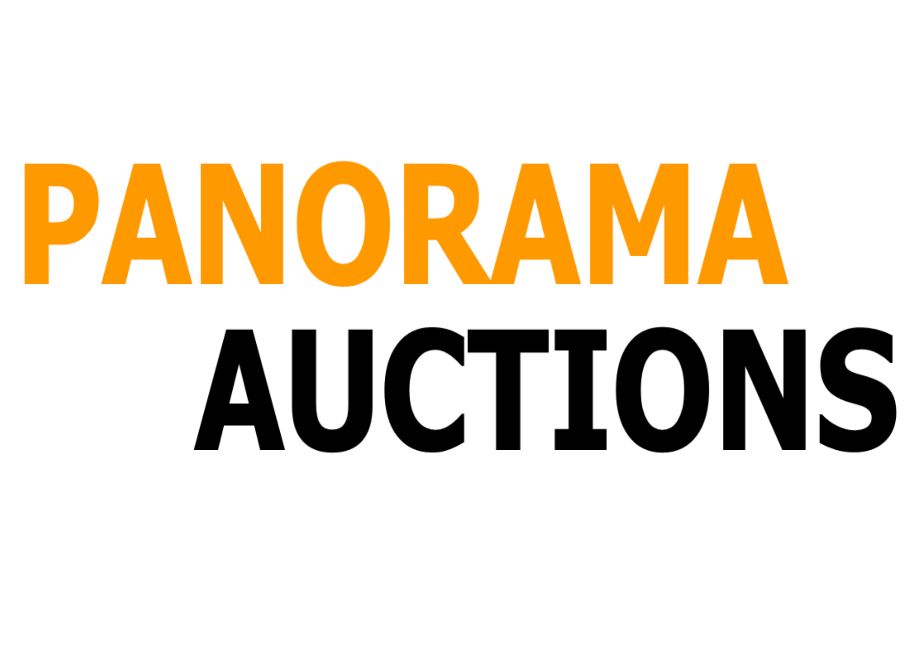 Panorama Auctions | 4/10 Littlebourne St, Kelso NSW 2795, Australia | Phone: 0402 349 633