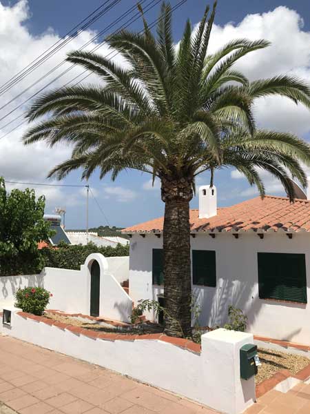 Go Tree Quotes | 8 Mondy Cres, Avoca Beach NSW 2251, Australia | Phone: 1800 252 208 Go Tree Quotes | 8 Mondy Cres, Avoca Beach NSW 2251, Australia | Phone: 1800 252 208