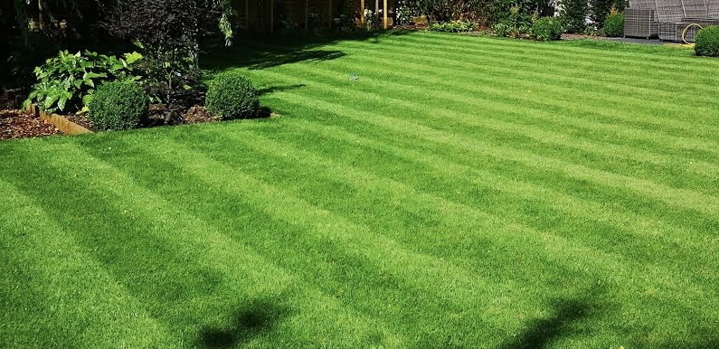 Prime maintenance | Windsor Rd, Baulkham Hills NSW 2153, Australia | Phone: 0434 380 699