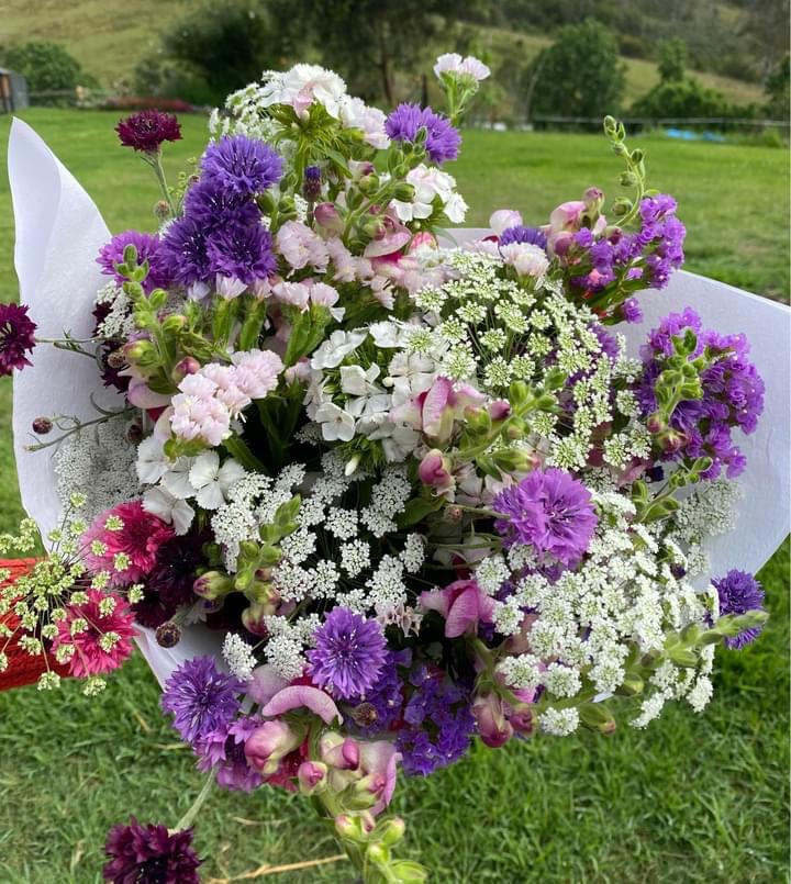 Paddock Flowers | florist | Pappinbarra Rd, Pappinbarra NSW 2446, Australia | 0403546887 OR +61 403 546 887