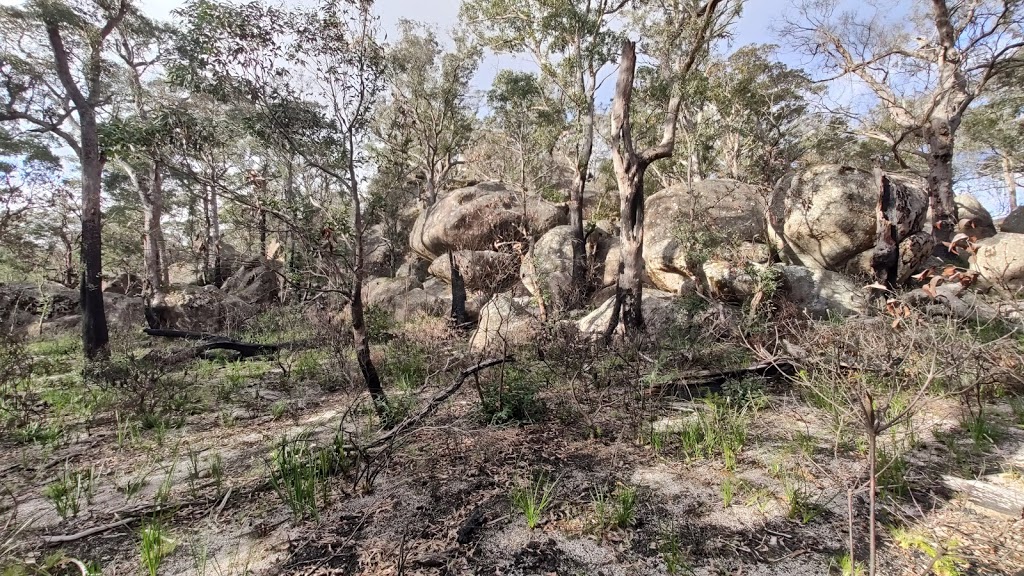 Cathedral Rock | tourist attraction | Ebor NSW 2453, Australia | 0267390700 OR +61 2 6739 0700