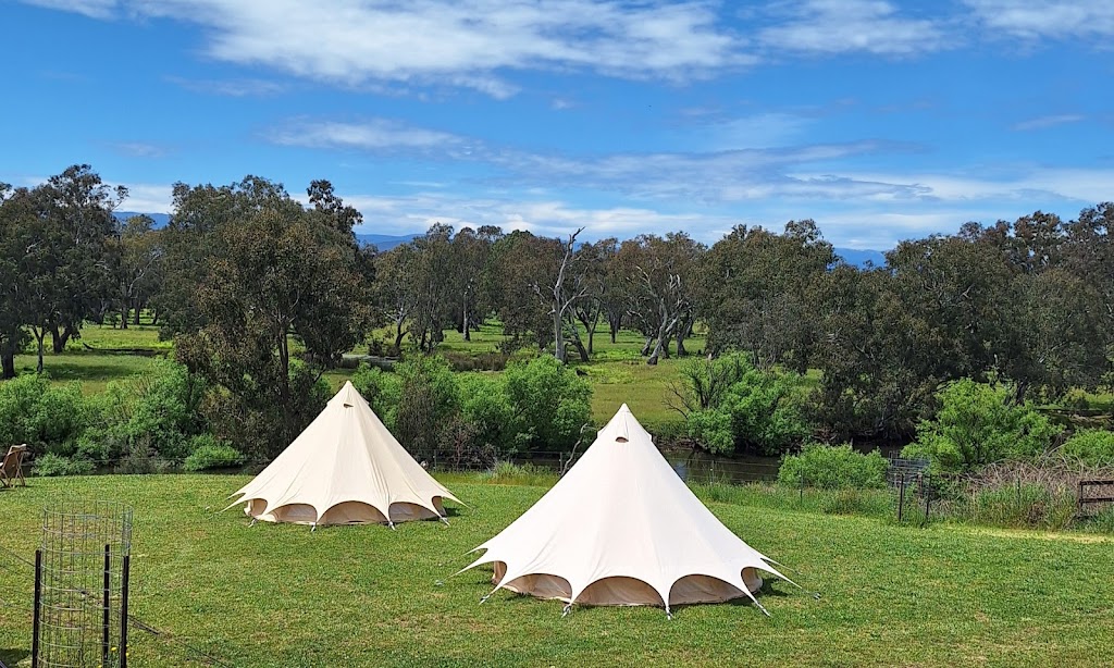 Bimbimbi Experiences | 10700 Murray River Rd, Tintaldra VIC 3708, Australia | Phone: 0466 906 870