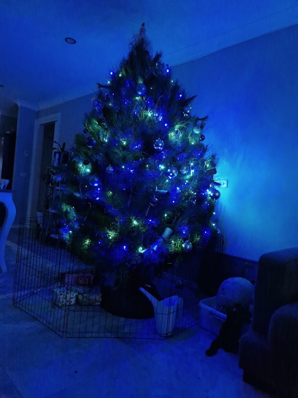 Hynds Pines Christmas Trees | 80 Currie Rd, Drouin South VIC 3818, Australia | Phone: 0438 118 342