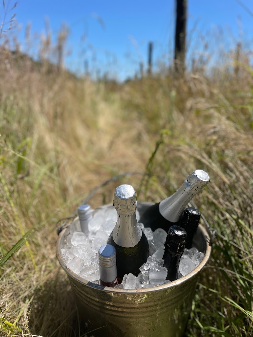 Tractorless Vineyard | 132 Compton Park Rd, Berrima NSW 2577, Australia | Phone: 0402 217 907