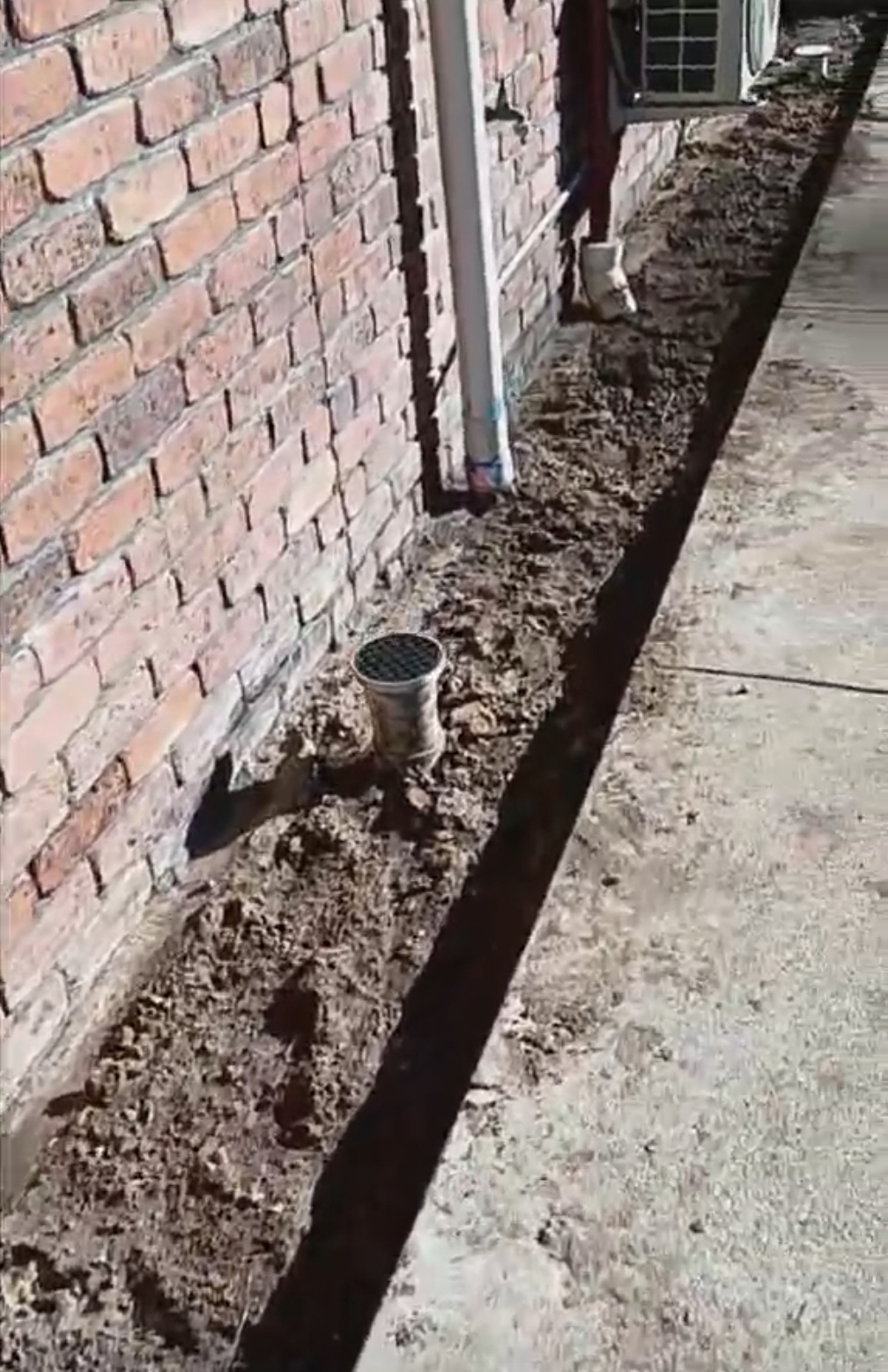 Jim’s Termite & Pest Control (Greenbank) | 65 Carnarvon Ave, Springfield Lakes QLD 4300, Australia | Phone: 13 15 46