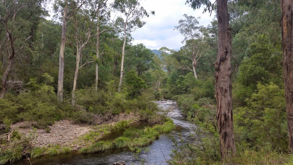 Snowy River National Park | Old Basin Rd, Yalmy VIC 3885, Australia | Phone: 13 19 63