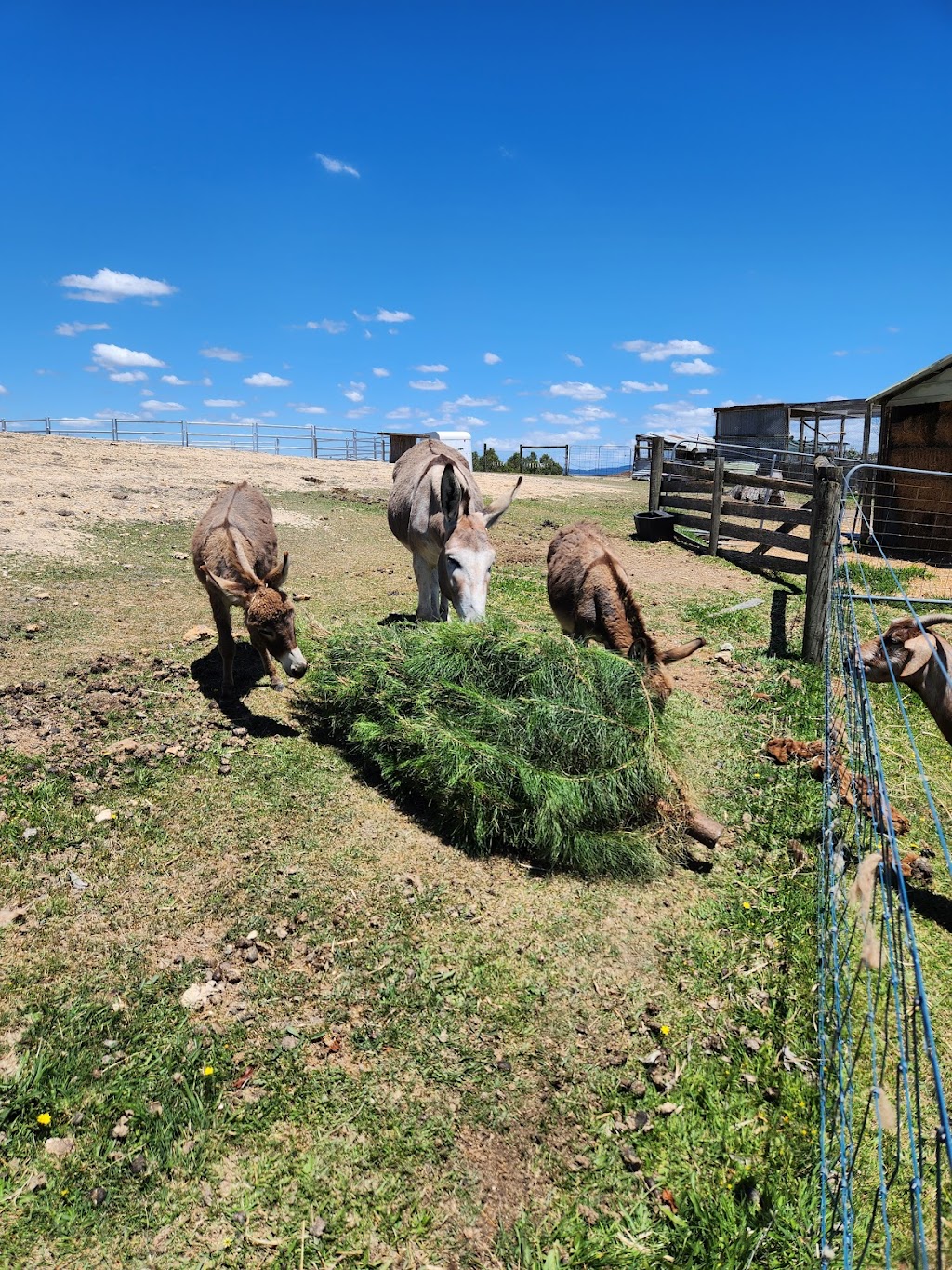 Valley Views BNB | 205 Owens Rd, Woori Yallock VIC 3139, Australia | Phone: 0411 271 418