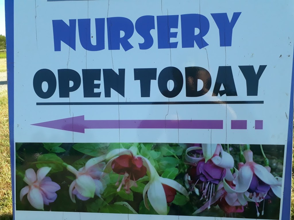 Brenlissa Online Nursery | 862 Midland Hwy, Mount Rowan VIC 3352, Australia | Phone: 0438 393 578