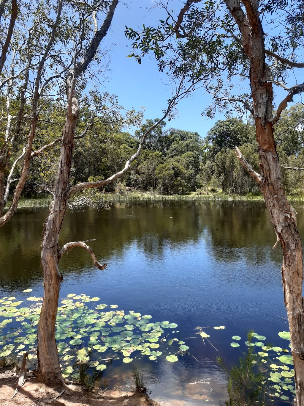 Brindabella Circuit Park | Thornlands QLD 4164, Australia | Phone: (07) 3829 8999