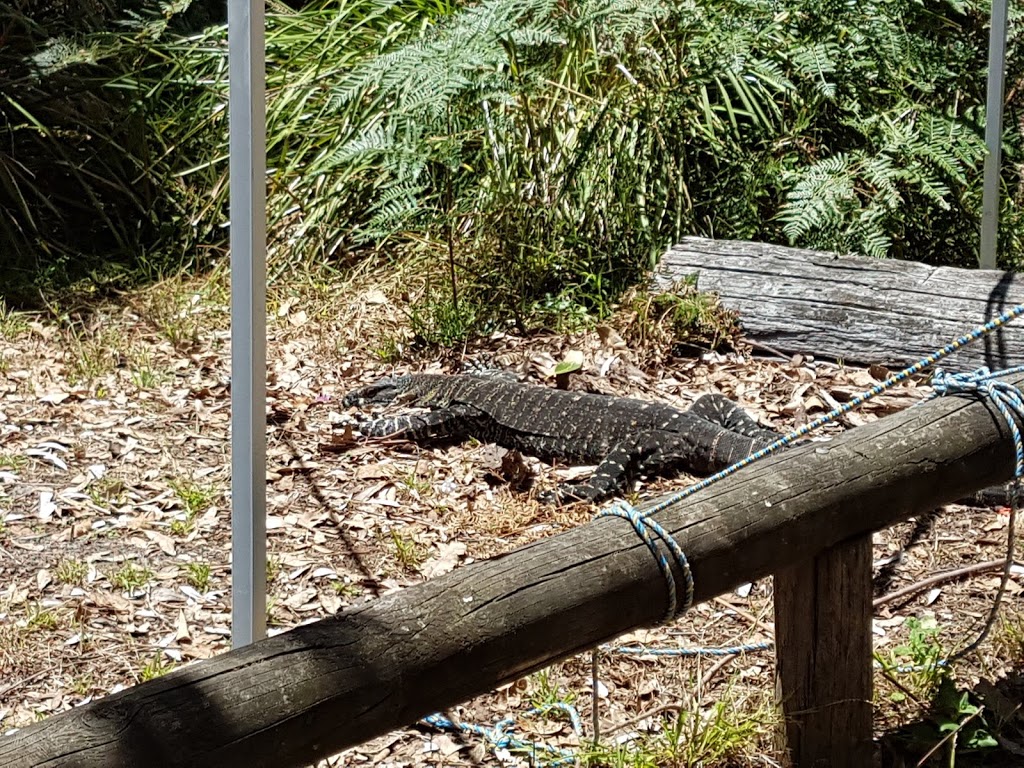 Peachtree Creek Reserve Campground | 8 Morris Rd, Tamboon VIC 3890, Australia | Phone: 13 19 63