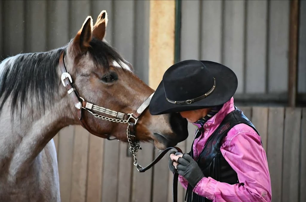 Harmony N Horsemanship | Burns Rd, Mount Pleasant SA 5235, Australia | Phone: 0419 144 387