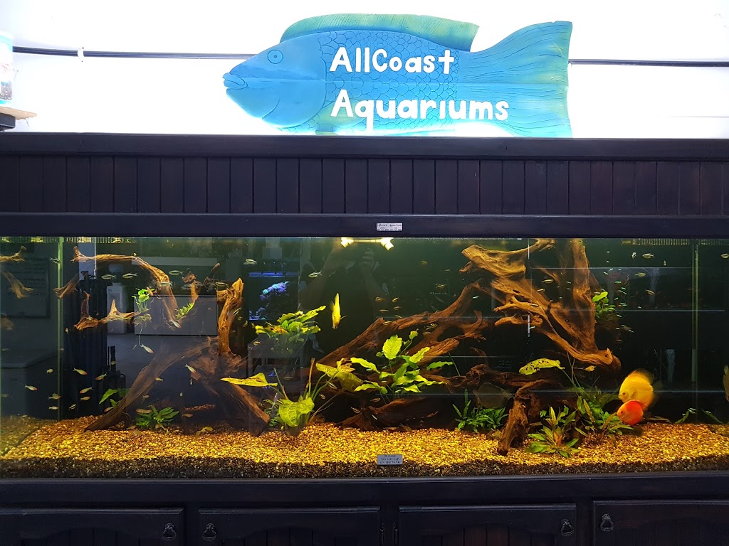 Allcoast Aquarium | 409 The Entrance Rd, Long Jetty NSW 2261, Australia | Phone: (02) 4333 3999