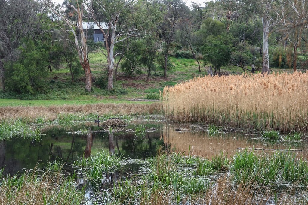 Otago Lagoon Reserve | Otago TAS 7017, Australia