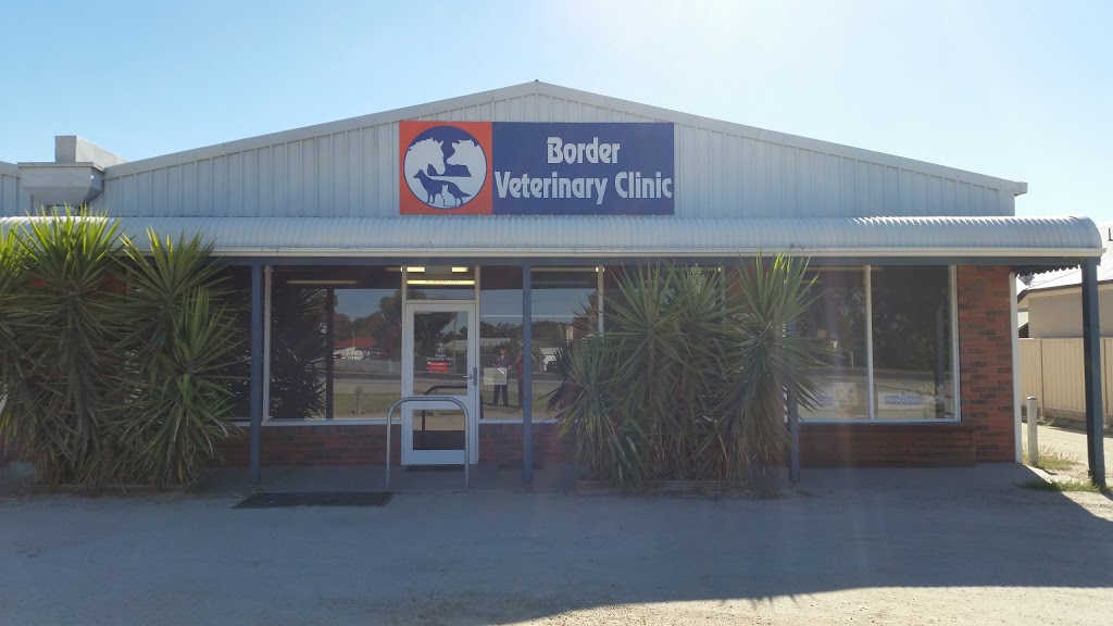 Border Veterinary Services | 92B Bendigo Road, Kerang VIC 3579, Australia | Phone: (03) 5452 2094