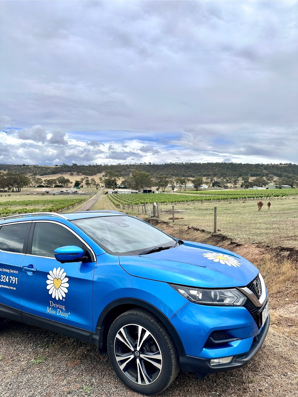 Driving Miss Daisy Melton South | Strathtulloh VIC 3338, Australia | Phone: 0457 117 846