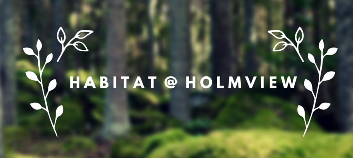 Habitat @ Holmview | lodging | 293 Prince George St, Holmview QLD 4207, Australia | 0447880900 OR +61 447 880 900