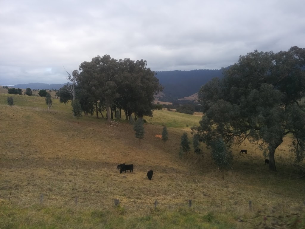 Livingstone Creek Reserve | Omeo VIC 3898, Australia