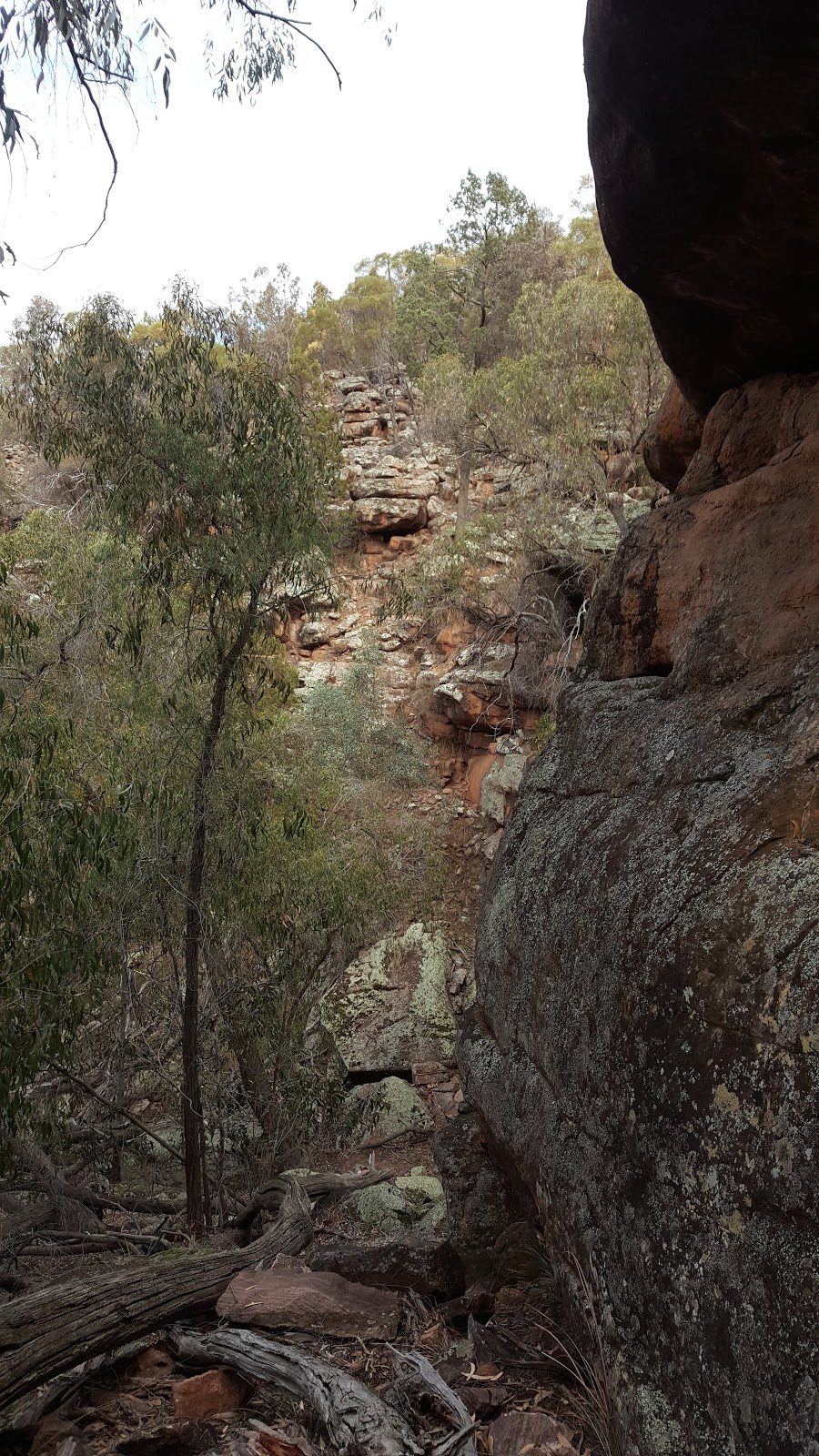 Cocoparra National Park Yenda | park | New South Wales, Australia | 0269668100 OR +61 2 6966 8100