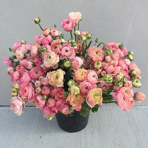 Little Flowers | florist | 12/95 Burrows Rd, Alexandria NSW 2015, Australia