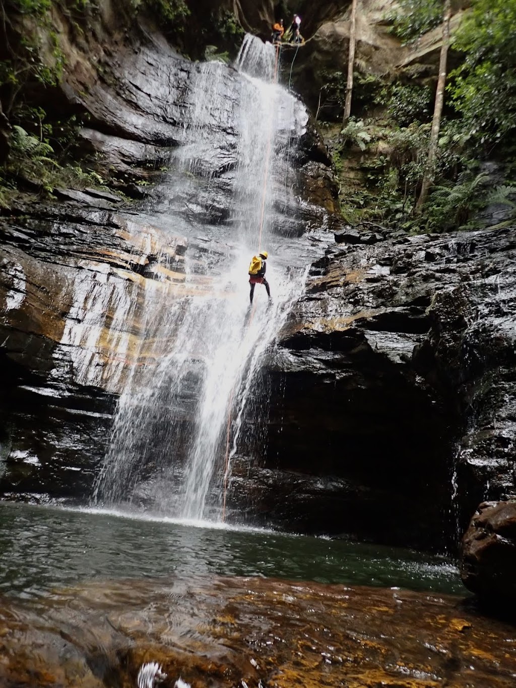 High and Wild | 207 Katoomba St, Katoomba NSW 2780, Australia | Phone: (02) 4782 6224