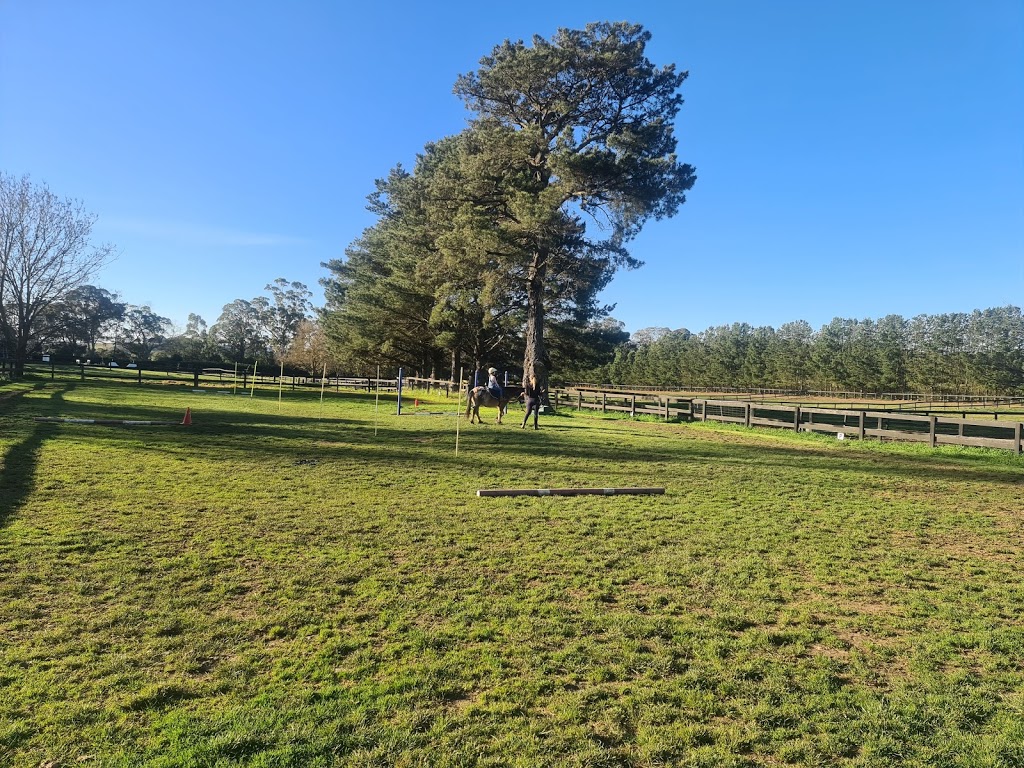 Rosthwaite Farm | Horse riding southern highlands | 268 Yarrawa Rd, Moss Vale NSW 2577, Australia | Phone: 0473 044 034