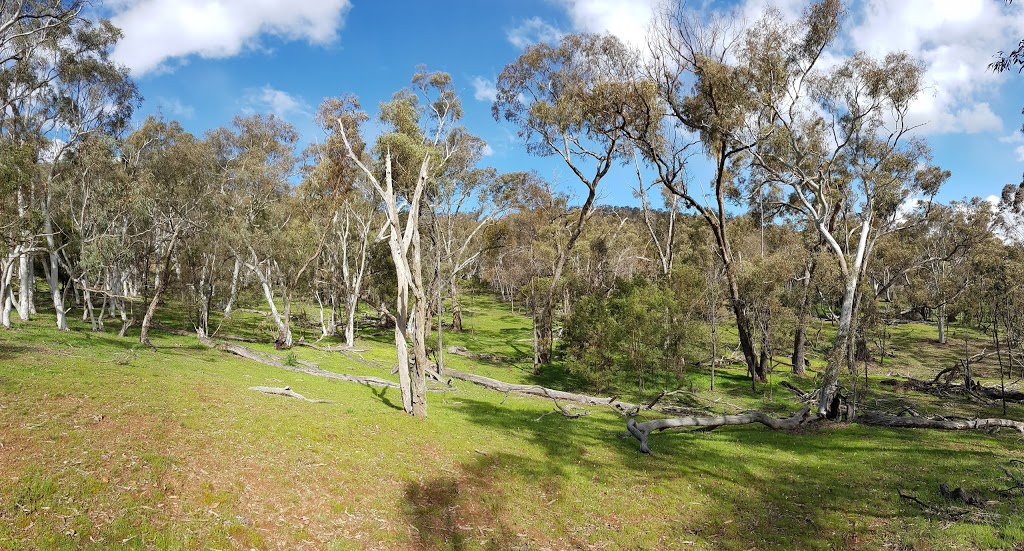 Mount Majura Special Purpose Reserve | Australian Capital Territory, Australia