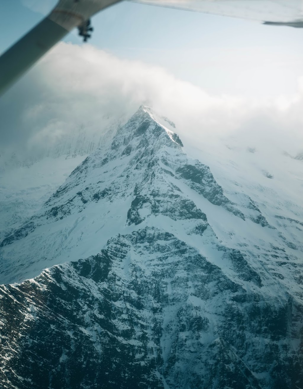 Farrow | Hobart Photography | Long Point Rd, Sandy Bay TAS 7005, Australia | Phone: 0426 950 458