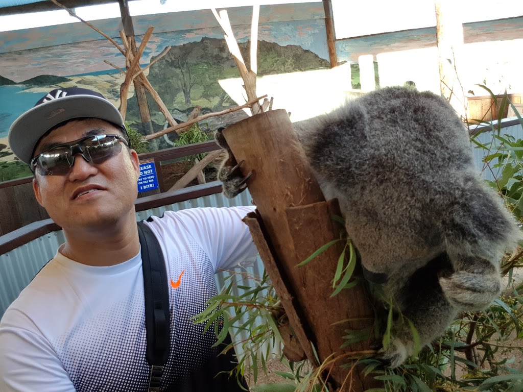 Oakvale Wildlife Park | zoo | 3 Oakvale Dr, Salt Ash NSW 2318, Australia | 0249826222 OR +61 2 4982 6222