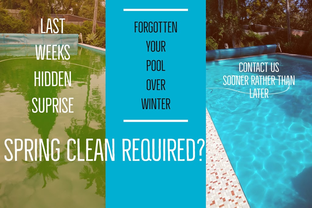 Pool Culture | 347 Honour Ave, Graceville QLD 4075, Australia | Phone: (07) 3379 6899