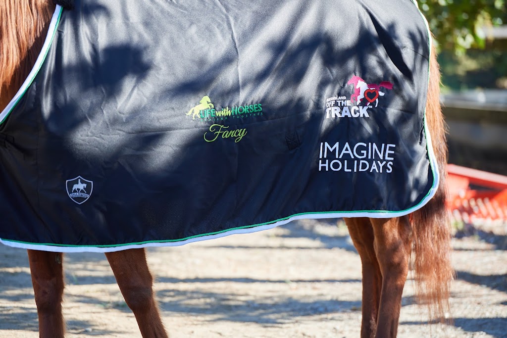 Life with Horses Limited | 45 Old Mount Samson Rd, Mount Samson QLD 4520, Australia | Phone: 0421 154 288