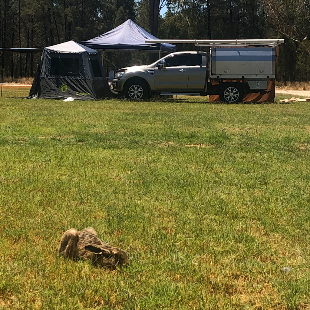 Chinchilla Country Camping | Auburn Rd, Chinchilla QLD 4413, Australia | Phone: 0434 666 130