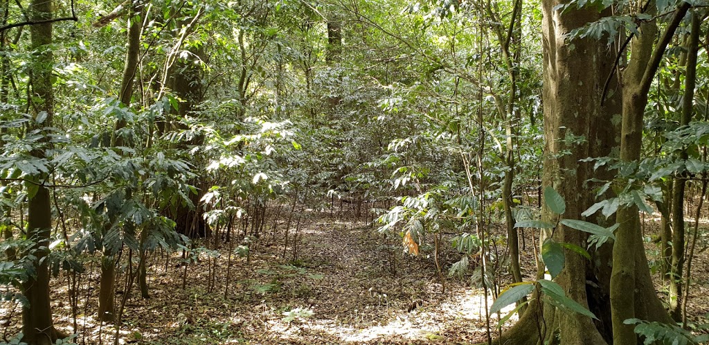 Moore Park Nature Reserve | Old Grevillia NSW 2474, Australia