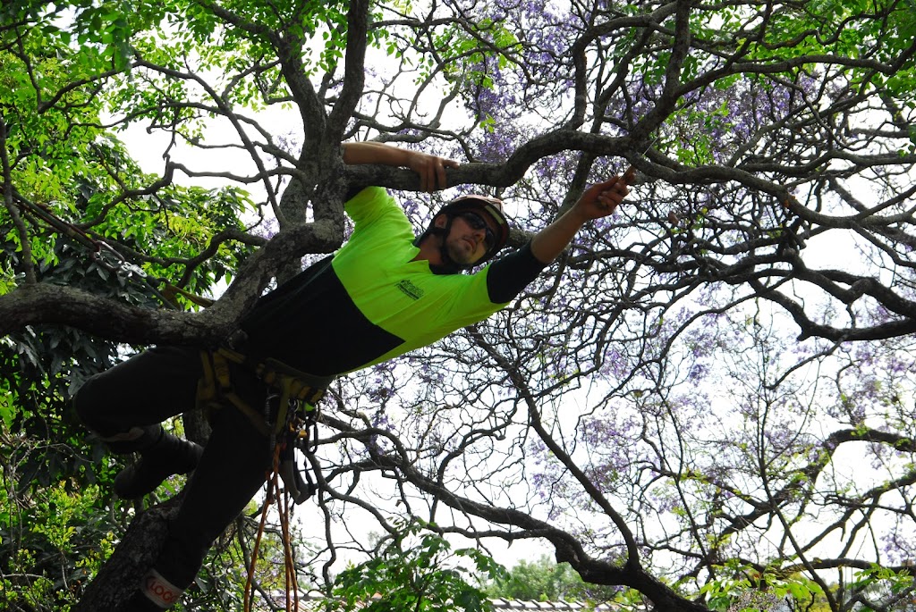 Arbortech Tree Services | 37a Samuel St, Smithfield SA 5114, Australia | Phone: (08) 8254 2905