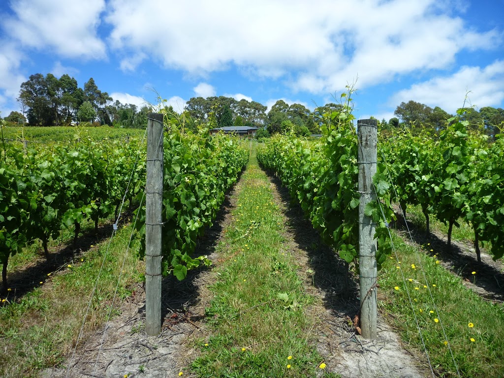 Grey Sands Vineyard | park | 6 Kerrisons Rd, Glengarry TAS 7275, Australia | 0363961167 OR +61 3 6396 1167