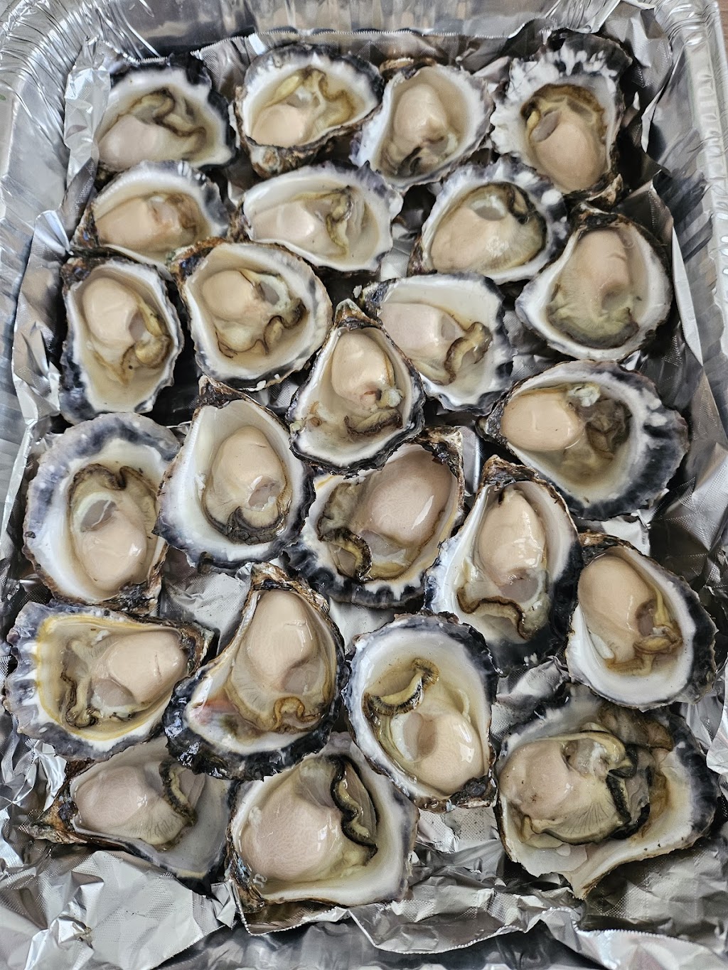 bodalla rock oysters | 58 Lyrebird Pl, Bodalla NSW 2545, Australia | Phone: 0439 575 518