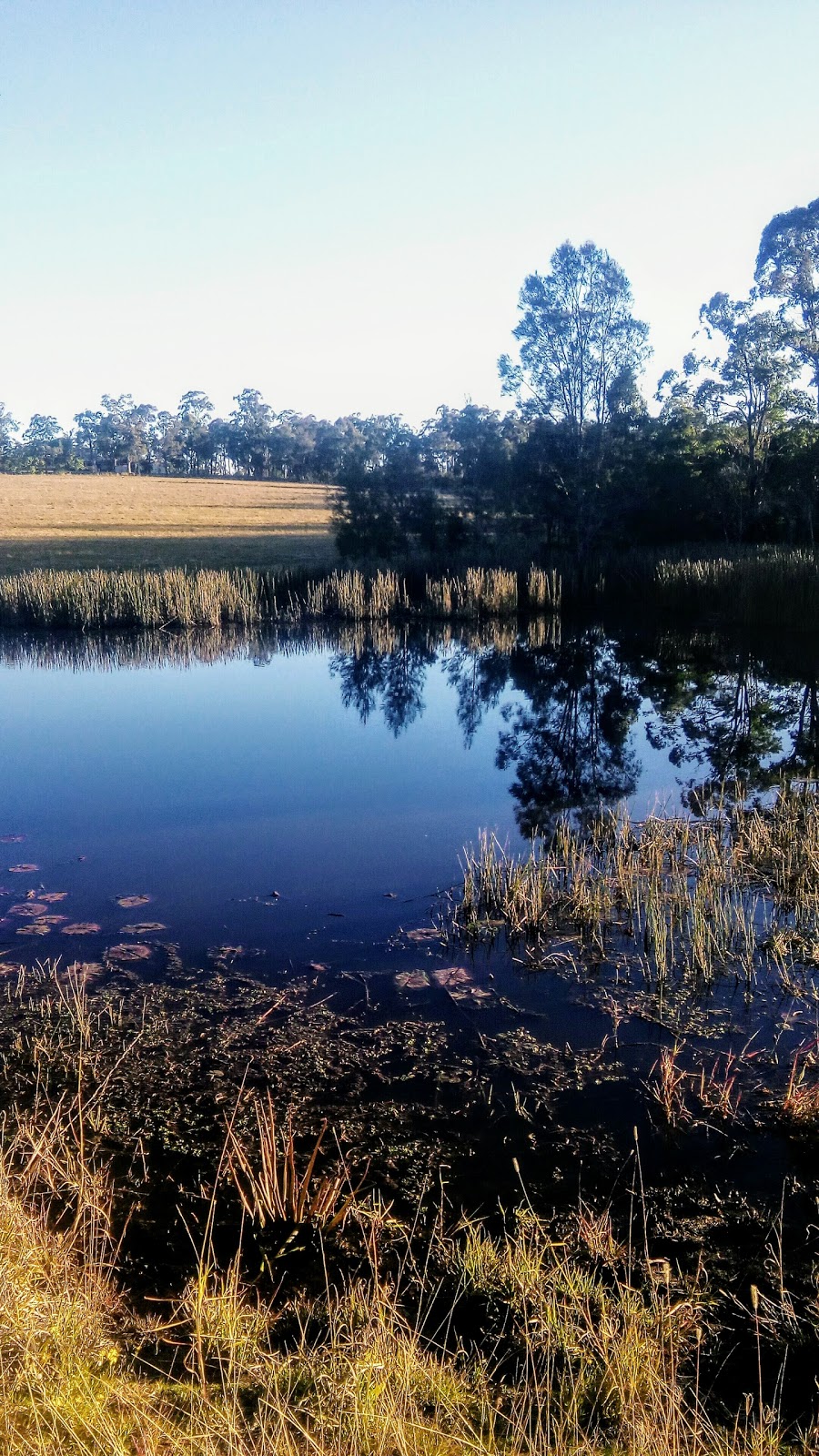 Sancrox Reserve | university | Colvin St, Sancrox NSW 2446, Australia
