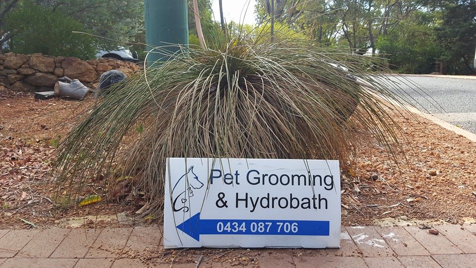 Pawsitively Divine Pet Care & House Sitting | Marion Way, Gooseberry Hill WA 6076, Australia | Phone: 0434 087 706