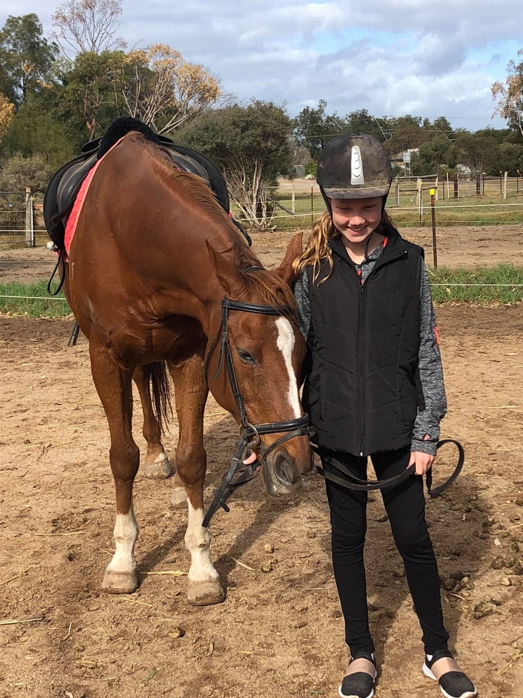 Enhanced Insight Heal your heart through horses | 17 Grayling Ct, Globe Derby Park SA 5110, Australia | Phone: 0402 419 556