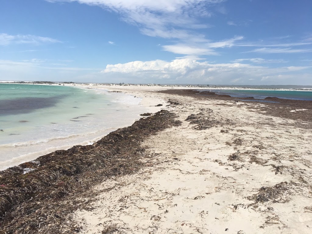 Wedge Island Nature Reserve | Western Australia, Australia